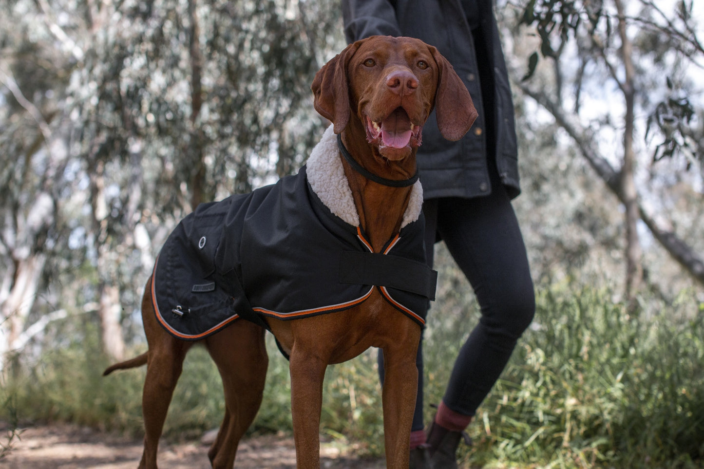Ruff n Rugged Trail Blazer Dog Coat Black
