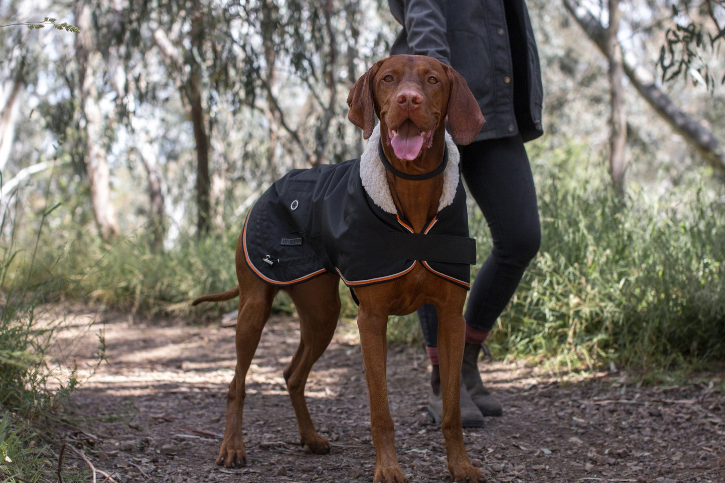 Ruff n Rugged Trail Blazer Dog Coat Black