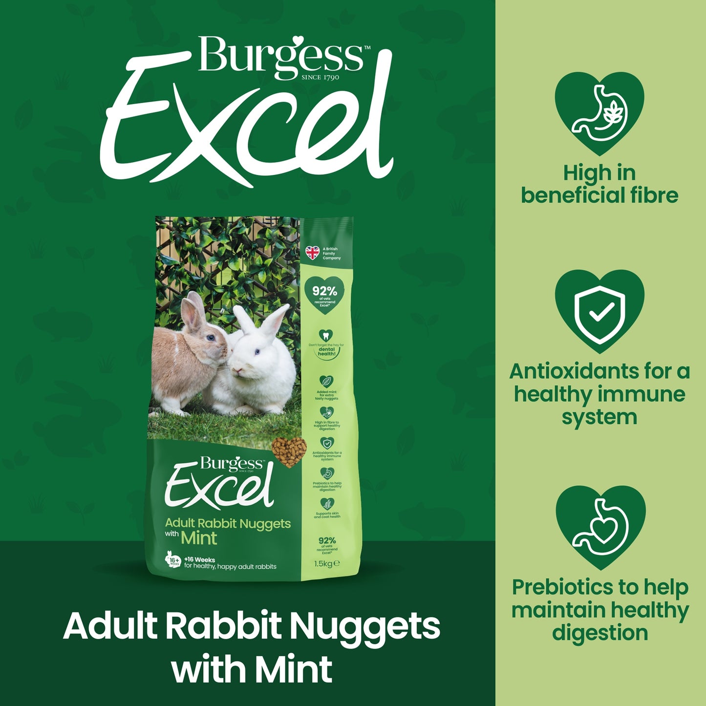 Burgess Adult Rabbit Nuggets with Mint