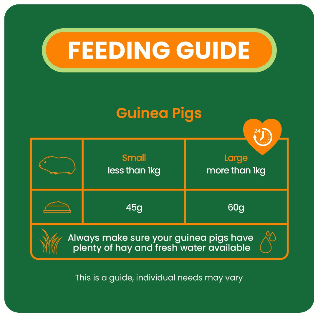 Burgess Excel Guinea Pig Nuggets with Mint