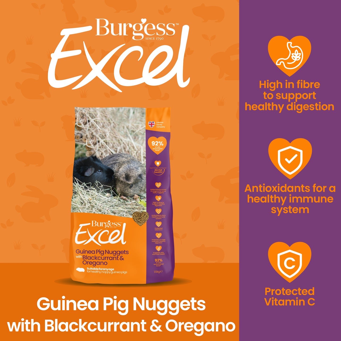 Burgess Guinea Pig Nuggets with Black Currant & Oregano