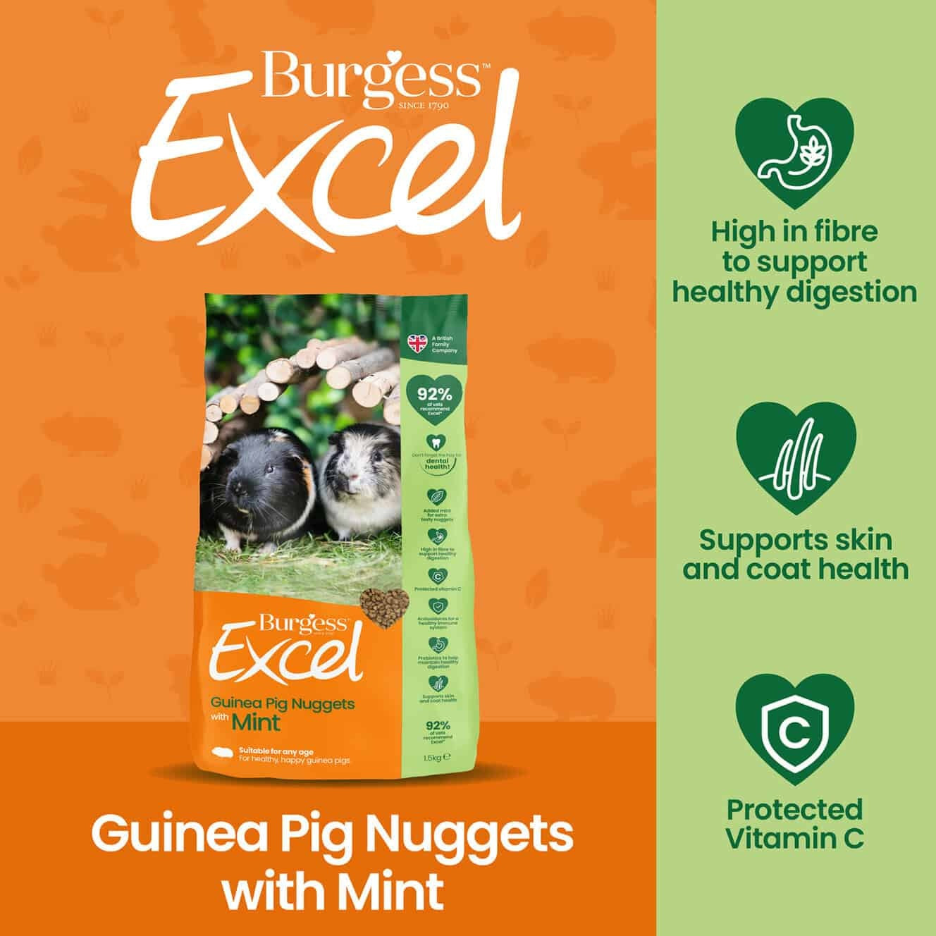 Burgess Excel Guinea Pig Nuggets with Mint