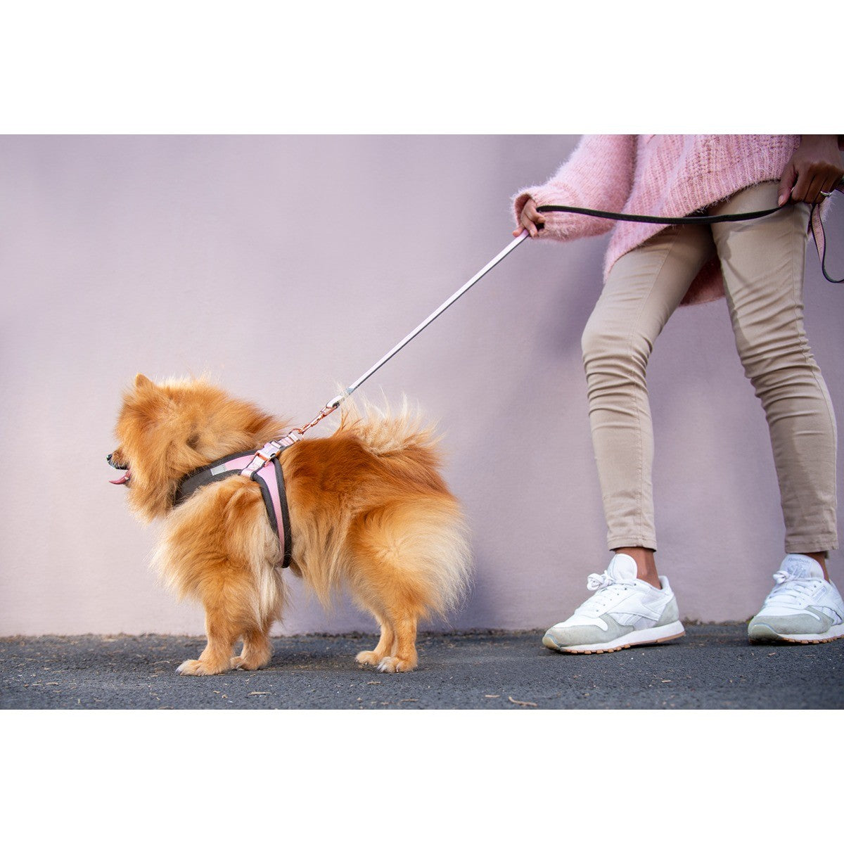 Rogz Adjustable Fast-Fit Urban Dog Harness