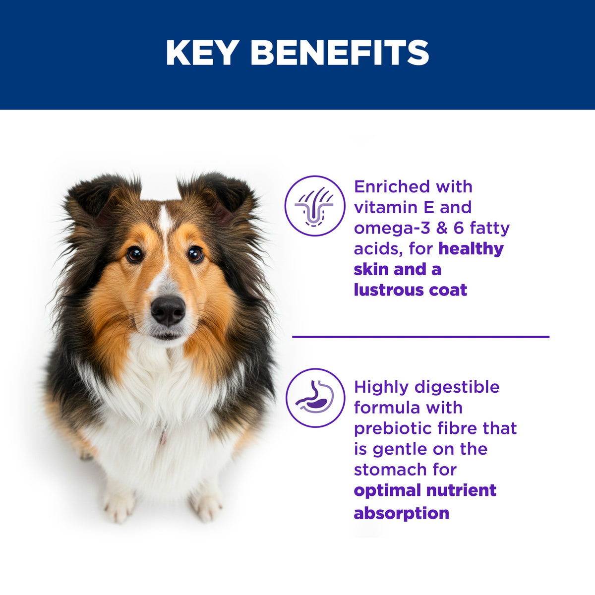 Hill's Science Diet Adult Sensitive Stomach & Skin Dry Dog Food