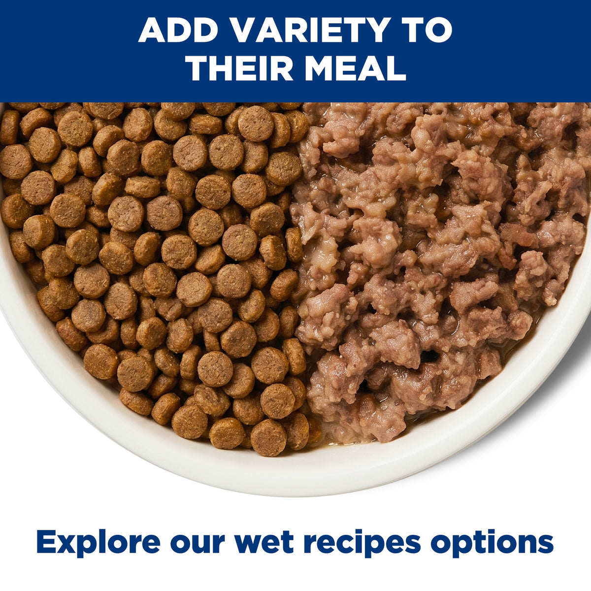 Hill's Science Diet Adult Sensitive Stomach & Skin Dry Dog Food