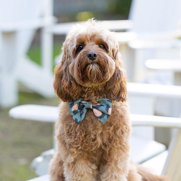 Buddy & Belle Bow Tie Wild Clover