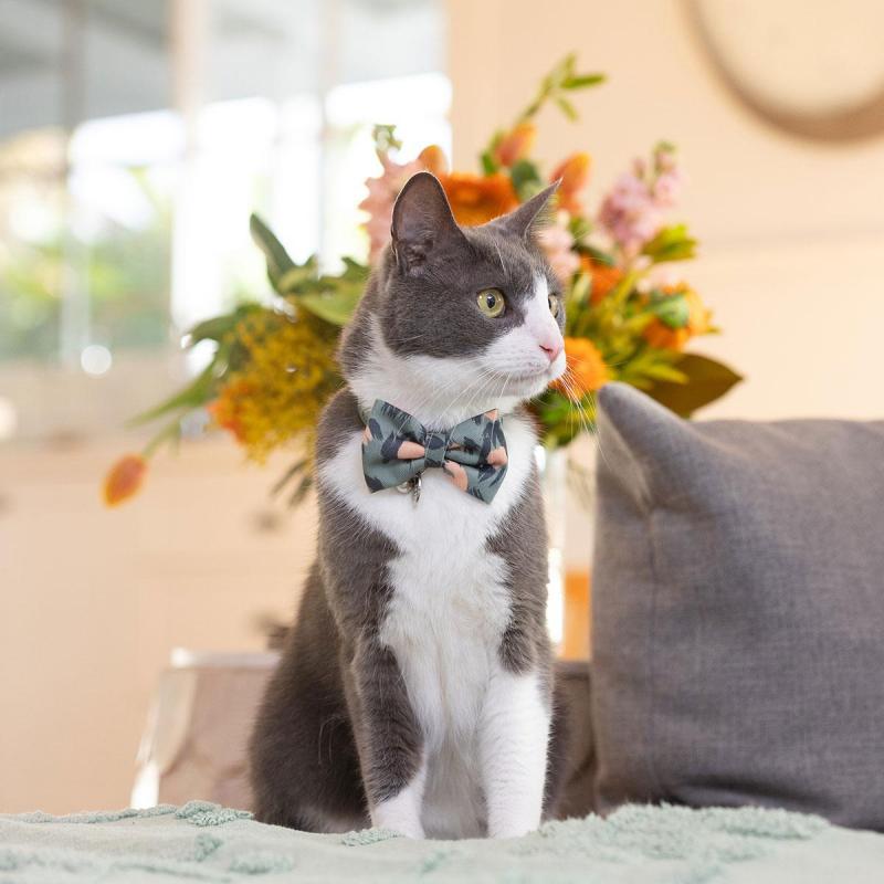 Buddy & Belle Cat Bow Tie Wild Clover