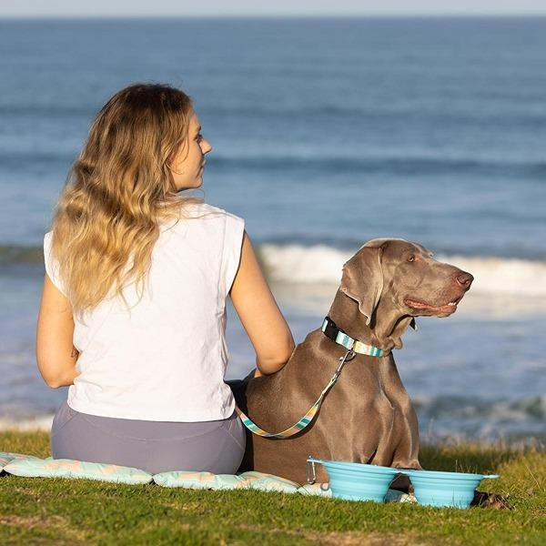 Lexi & Me Double Collapsible Travel Bowl