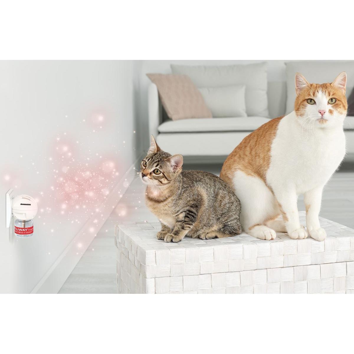 Feliway Friends Diffuser Refill