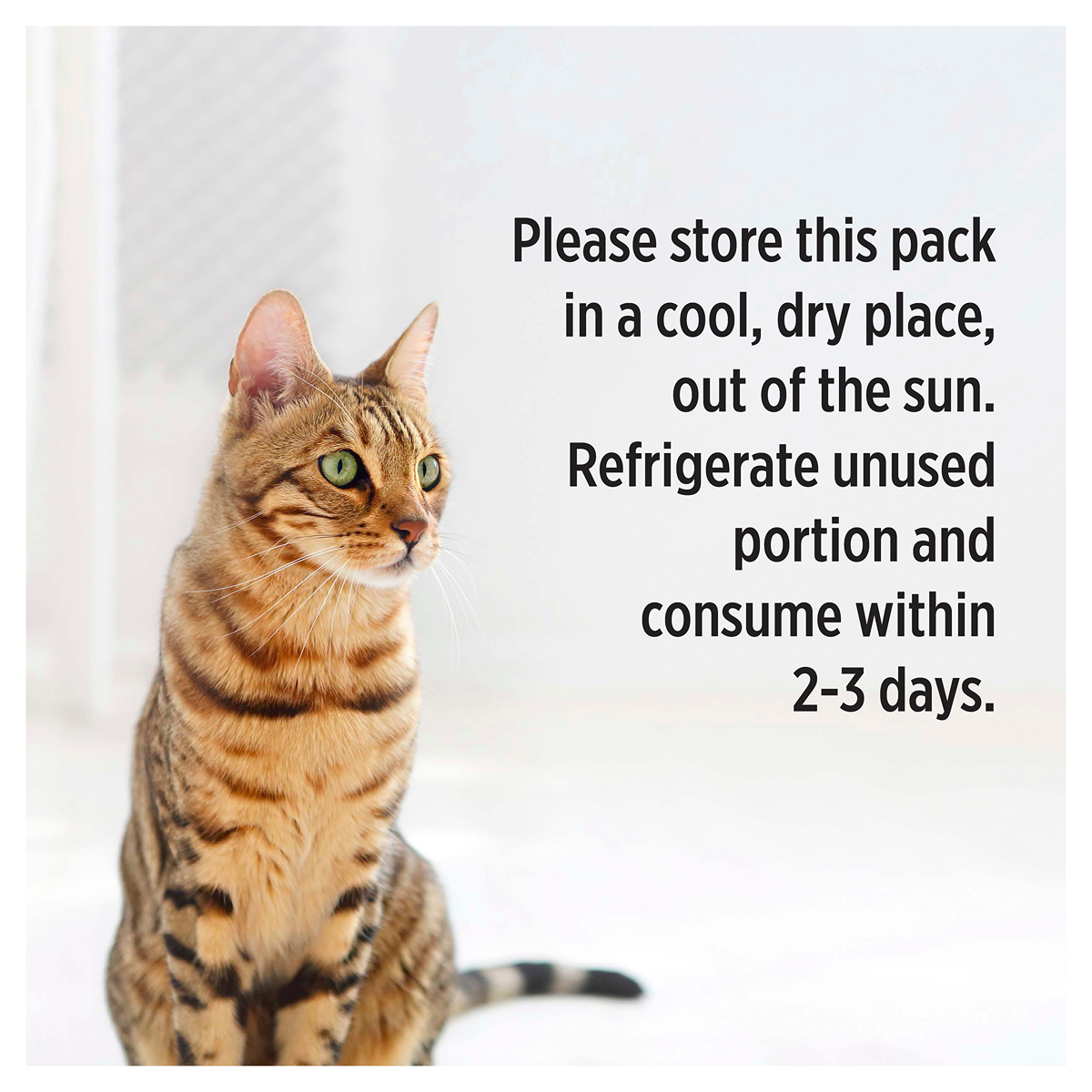 Pro Plan Fussy & Beauty Salmon Wet Cat Food