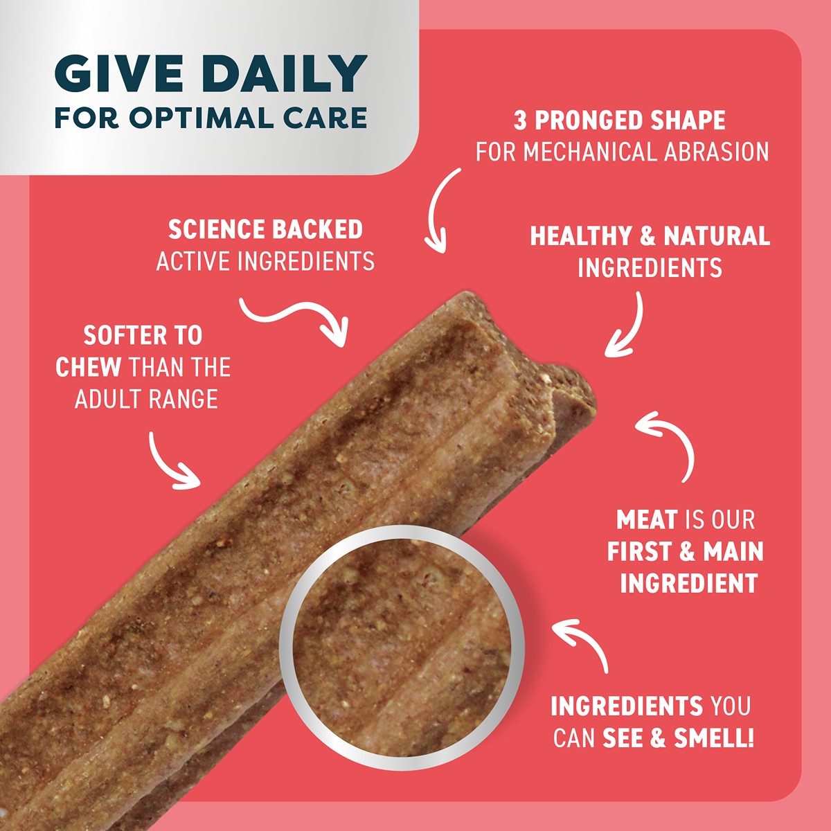 Bell & Bone Beef Puppy Dental Chew Dog Treats