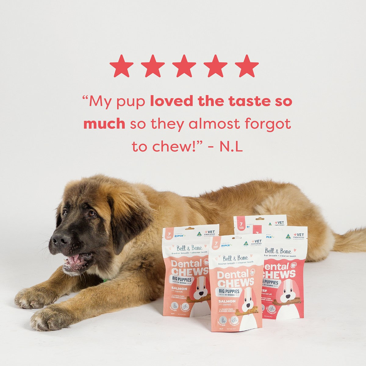 Bell & Bone Beef Puppy Dental Chew Dog Treats