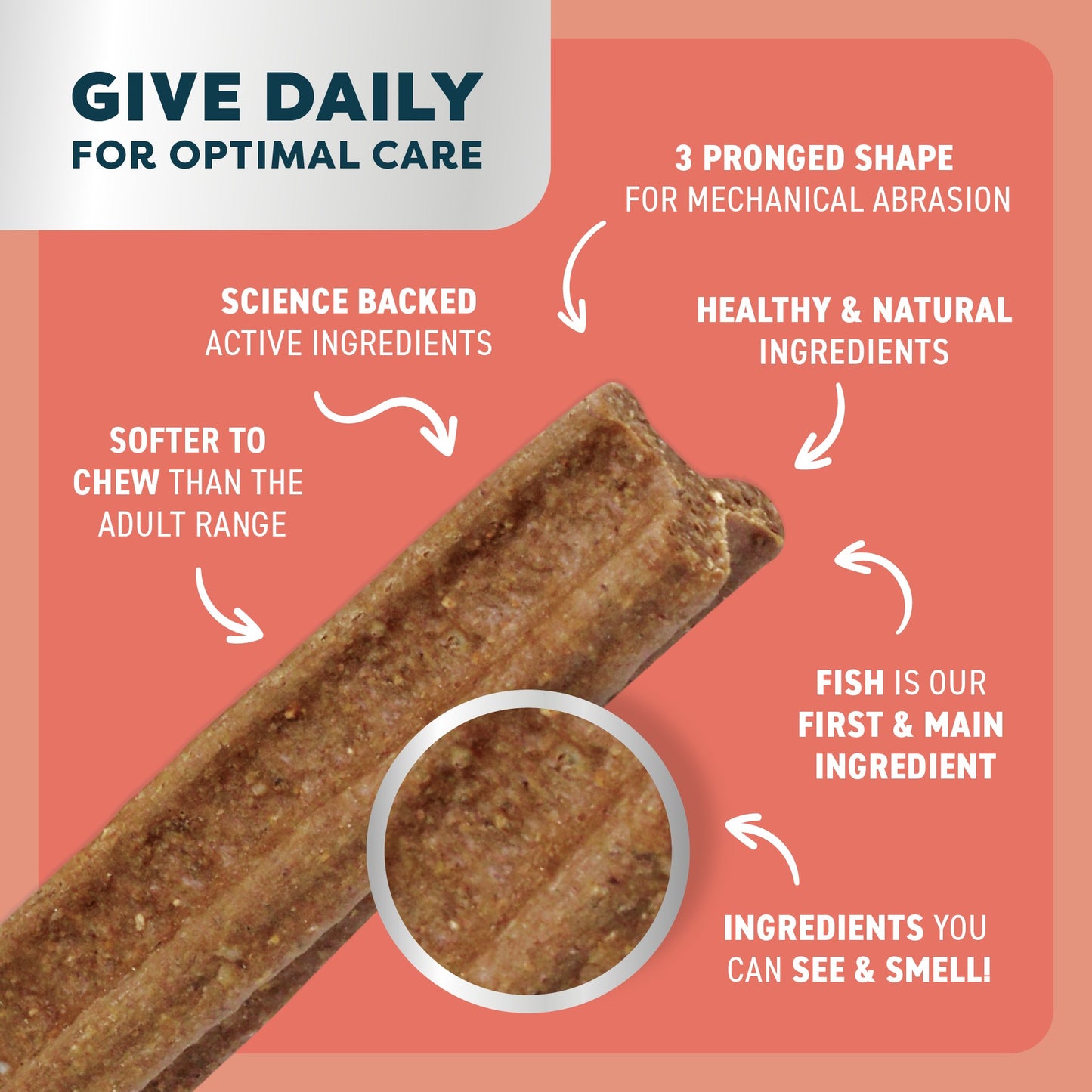 Bell & Bone Salmon Puppy Dental Dog Treats