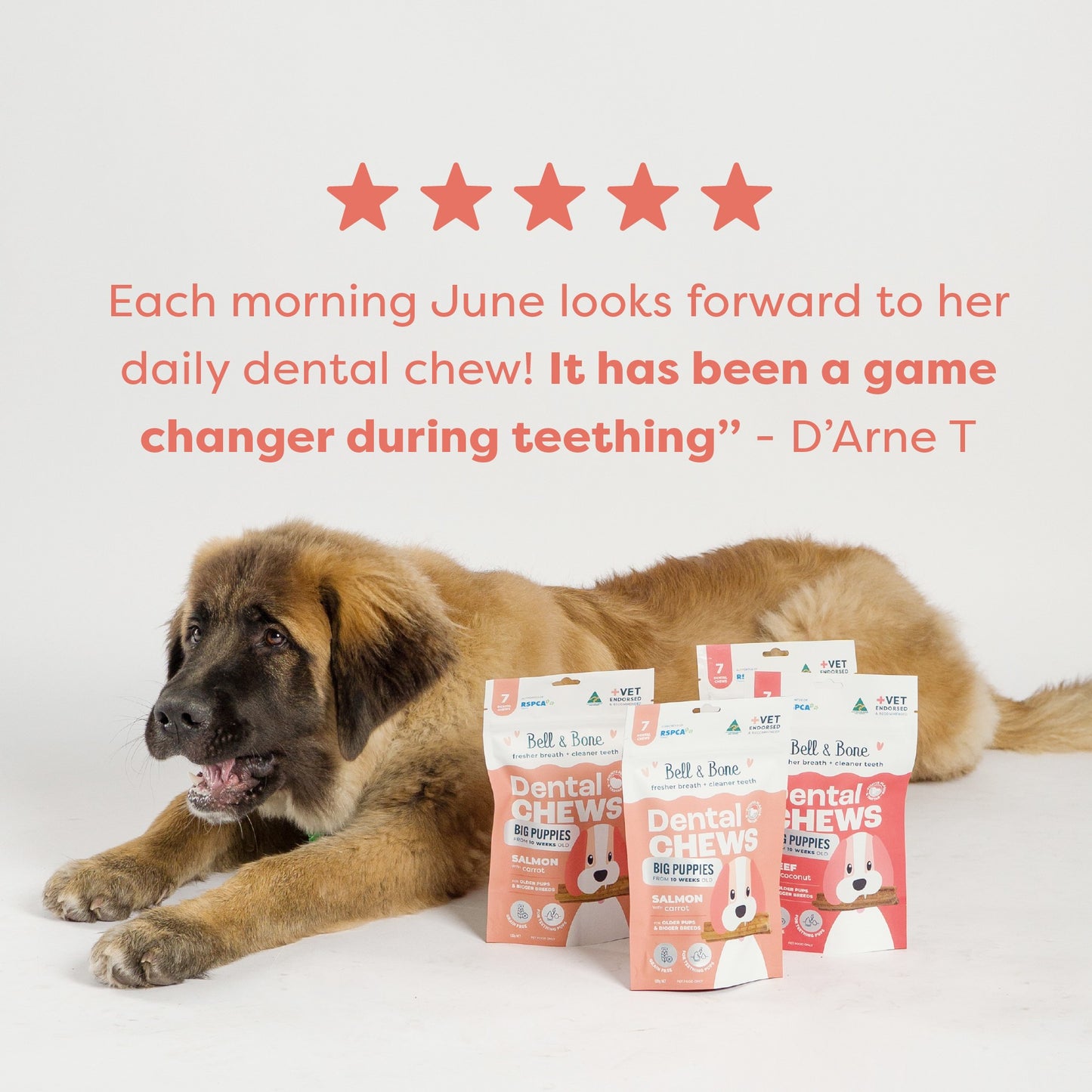 Bell & Bone Salmon Puppy Dental Dog Treats