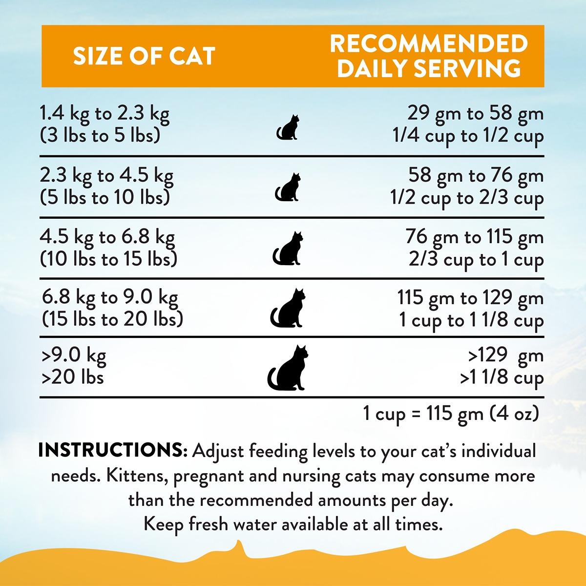 Addiction Chicken Supreme Recipe Dry Cat Food