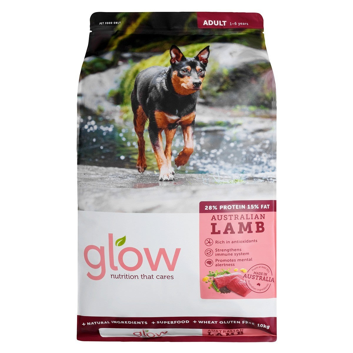Glow Adult Lamb Dry Dog Food