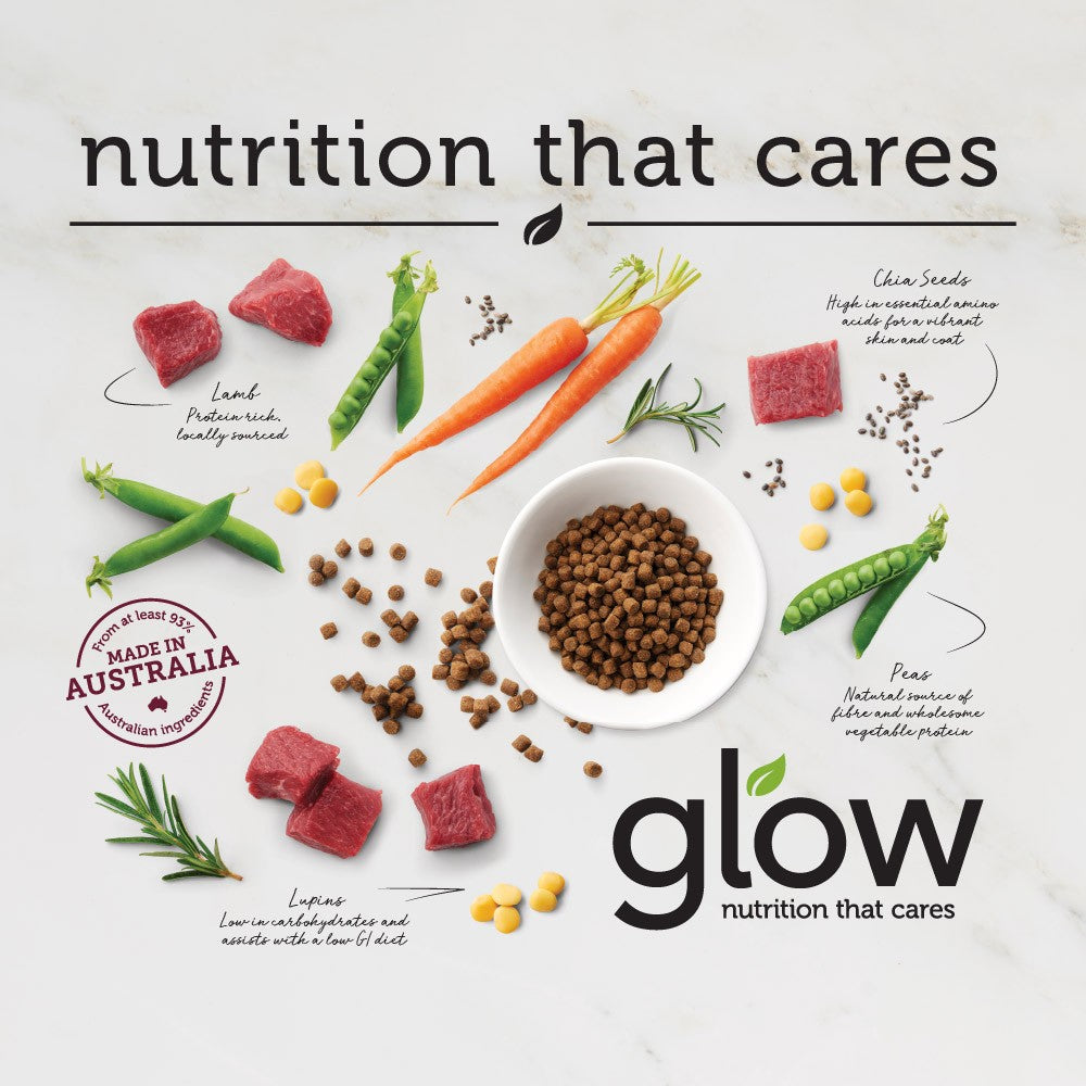 Glow Adult Lamb Dry Dog Food