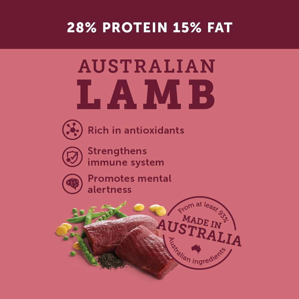 Glow Adult Lamb Dry Dog Food