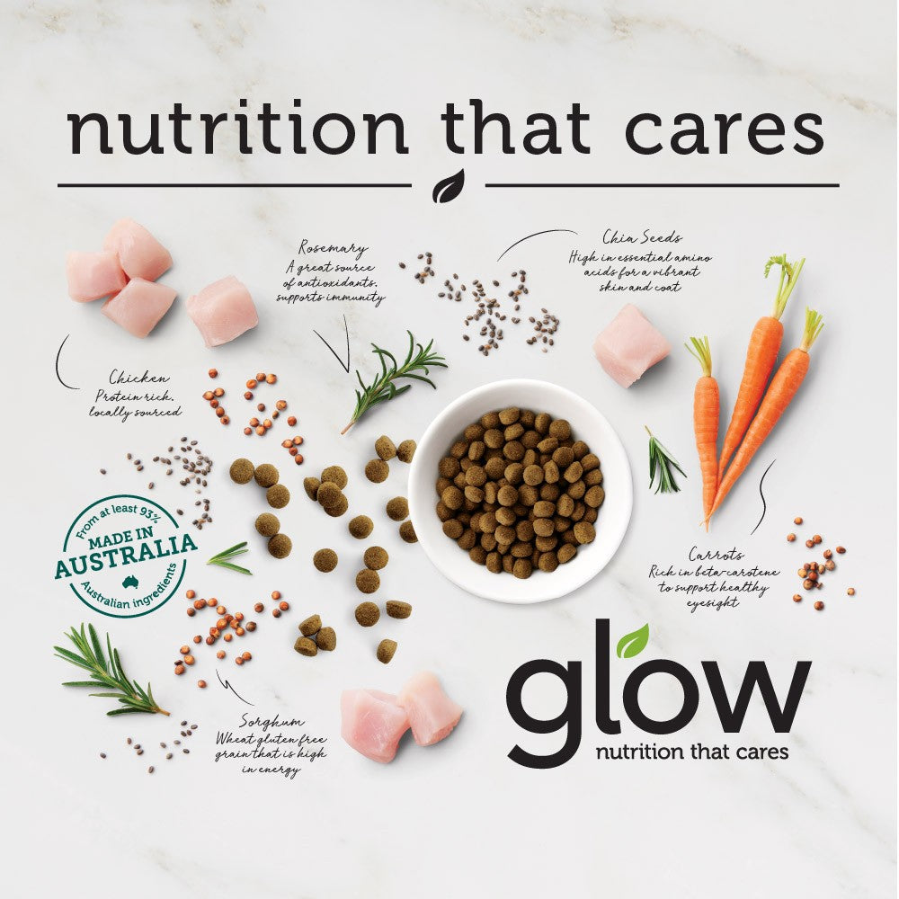 Glow Adult Large Breed Chicken Dry Dog Food