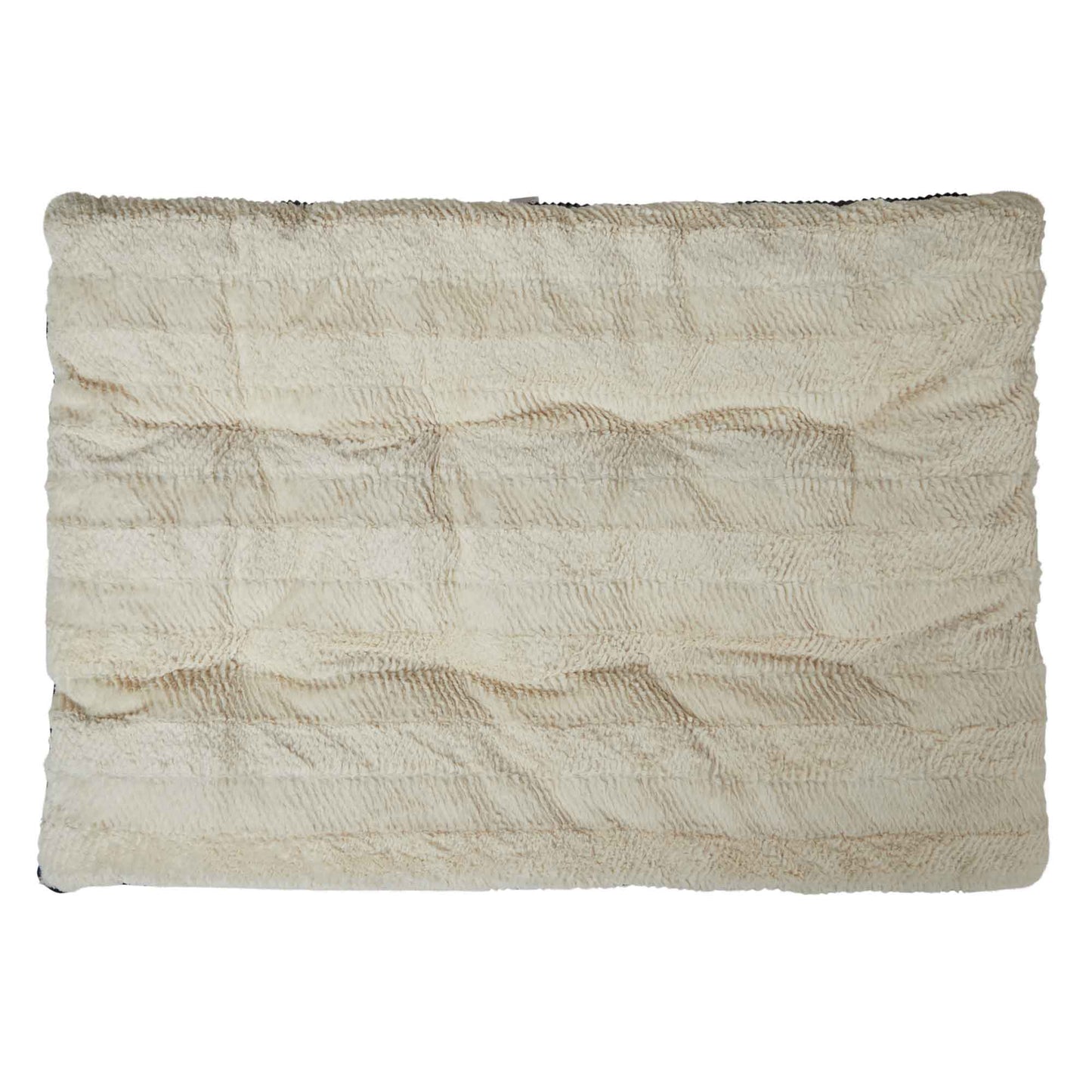 Buddy & Belle Orthopedic Mattress with Pillow Top