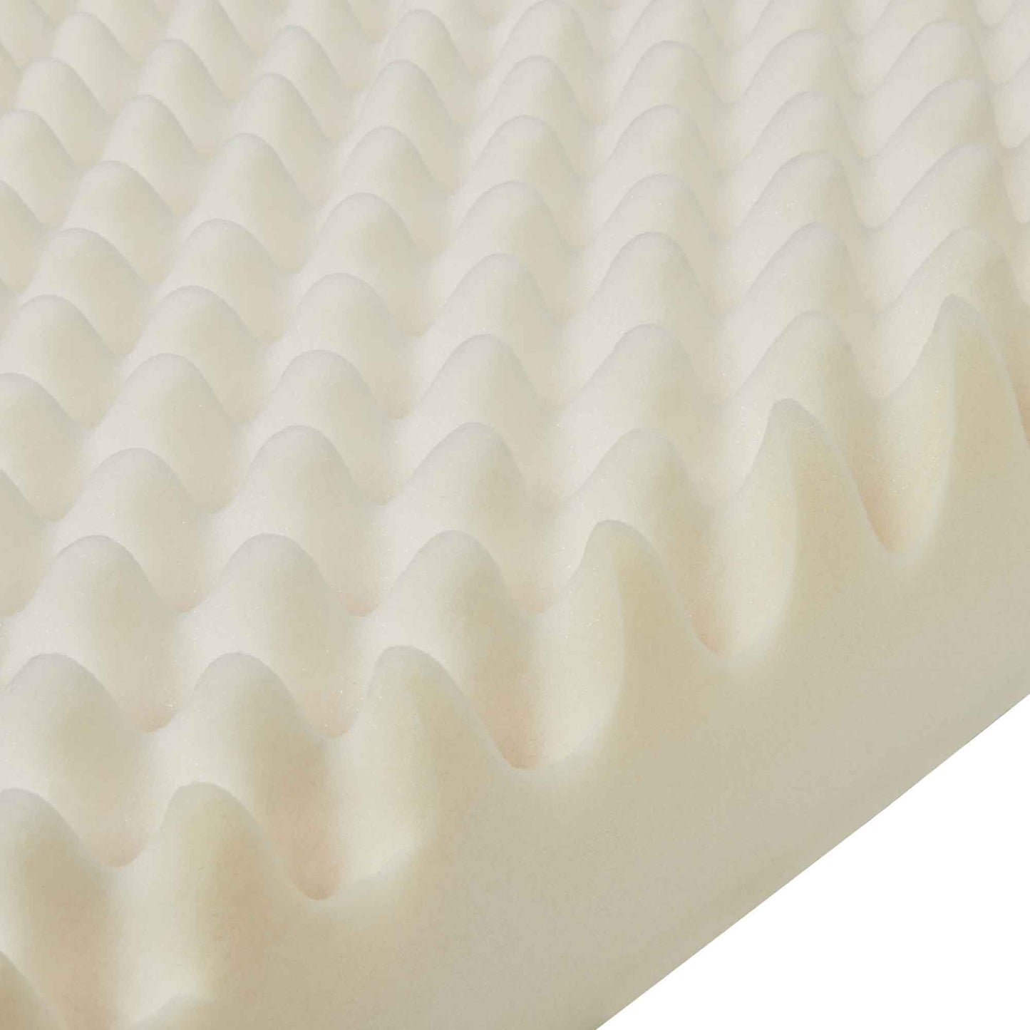 Buddy & Belle Orthopedic Mattress with Pillow Top
