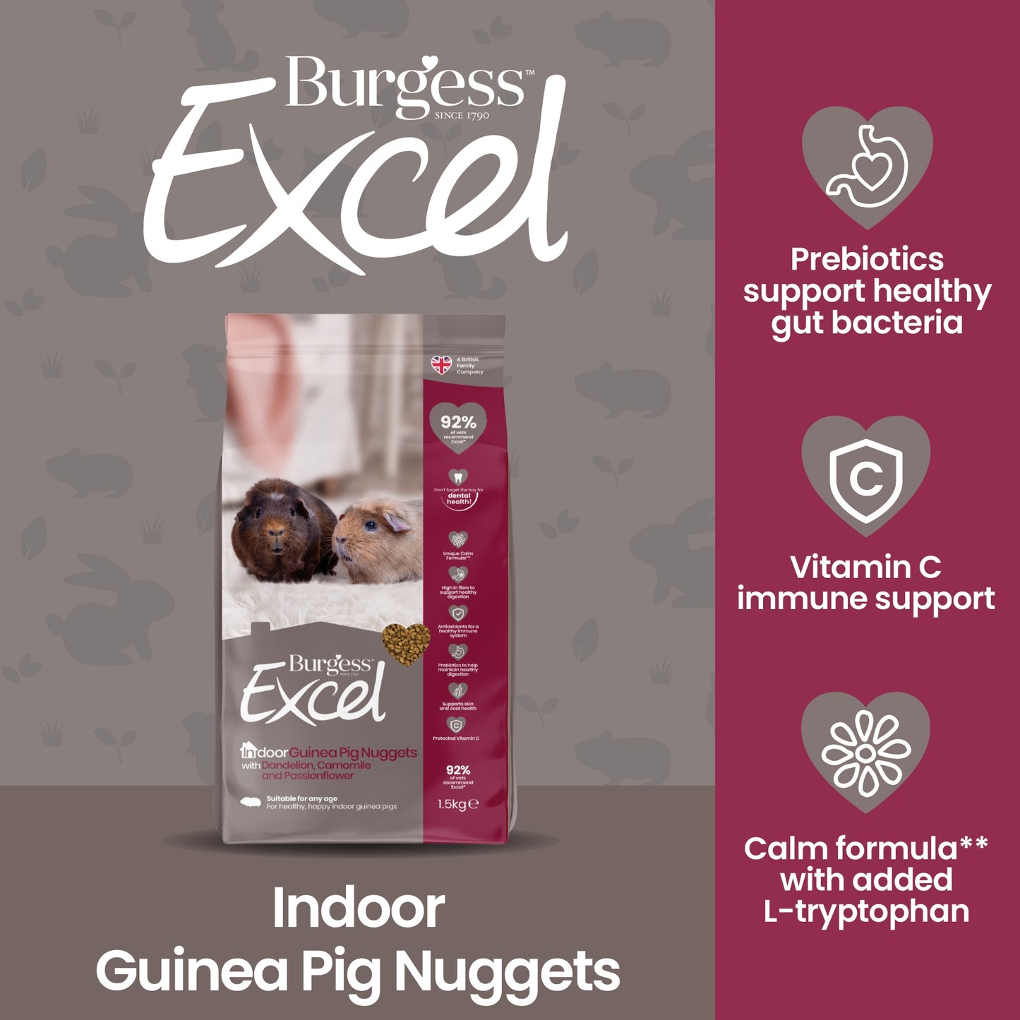 Burgess Indoor Guinea Pig Nuggets