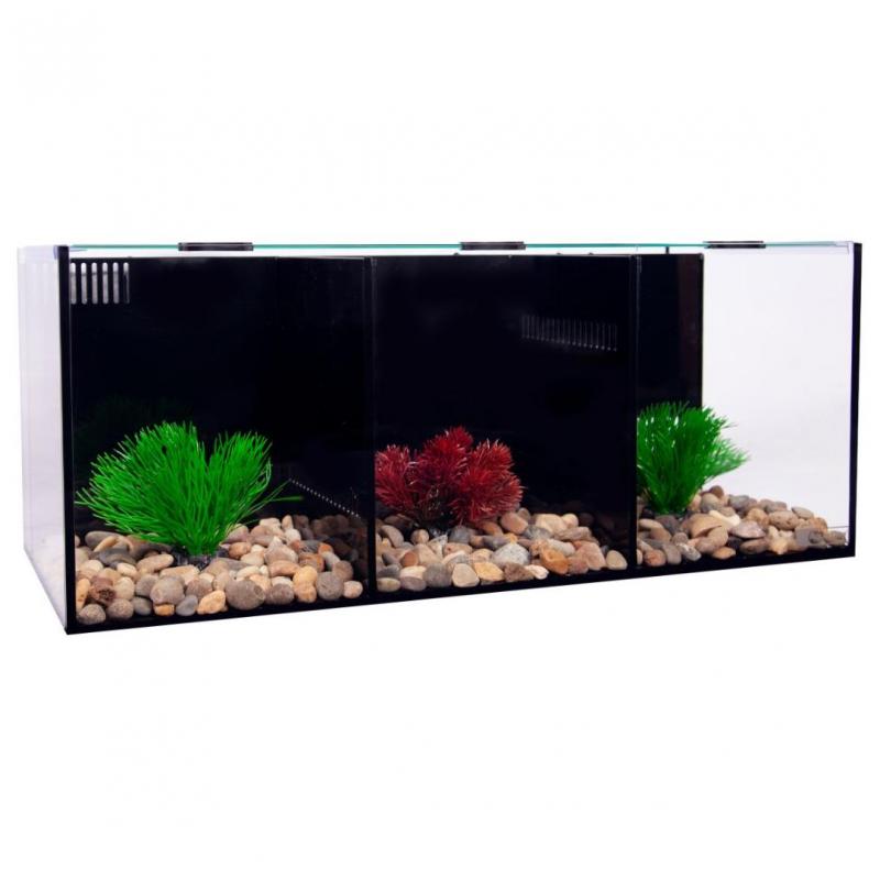 Aqua One Betta Condo