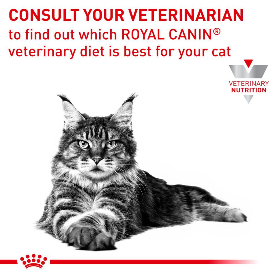 Royal Canin VET Feline Anallergenic Dry Food