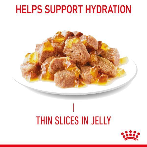 Royal Canin Urinary Care Jelly Wet Cat Food