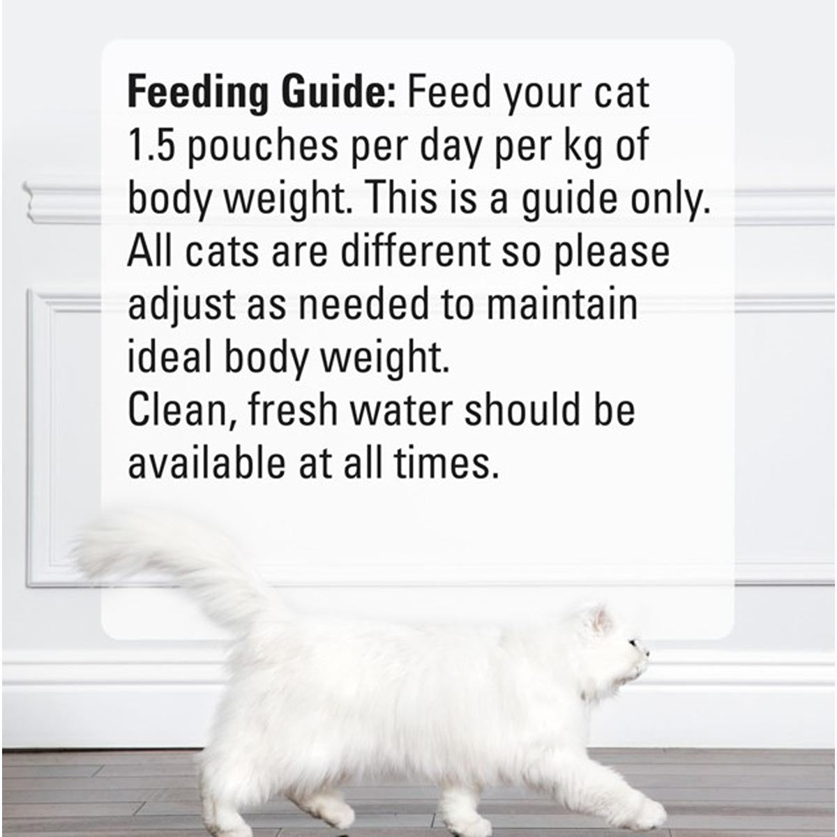 Fancy Feast Petite Delights Salmon Chicken Wet Cat Food Multipack