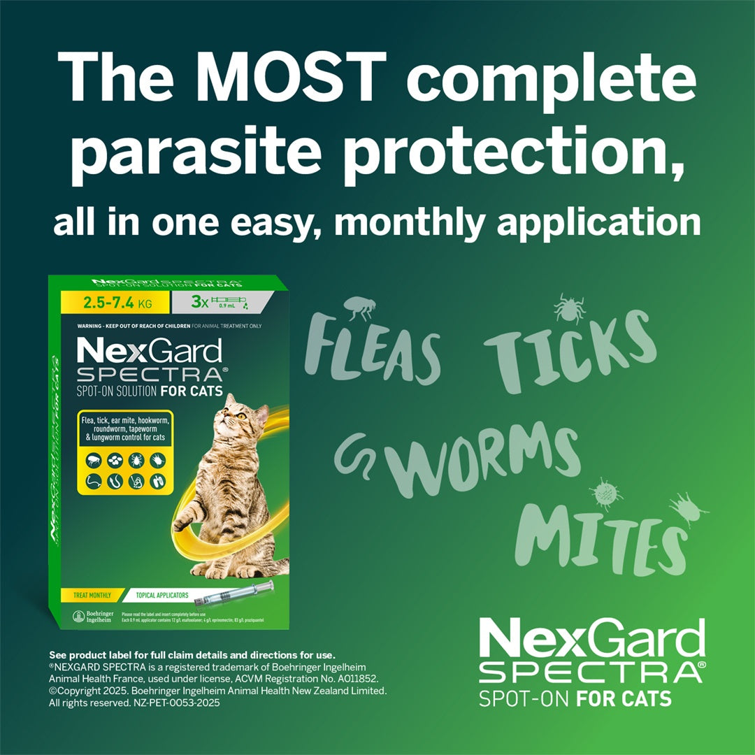 Nexgard Spectra Spot-on Treatment for Cats & Kittens 0.8-2.5kg