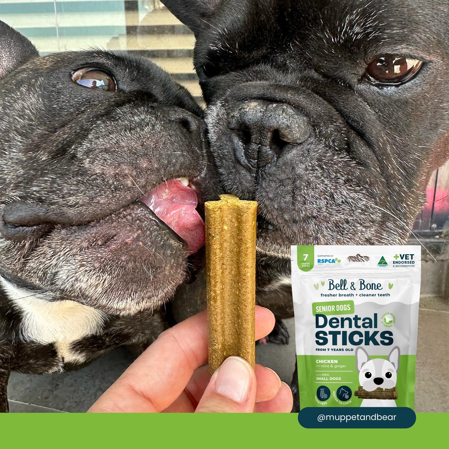 Bell & Bone Chicken Senior Dental Stick Dog Treats