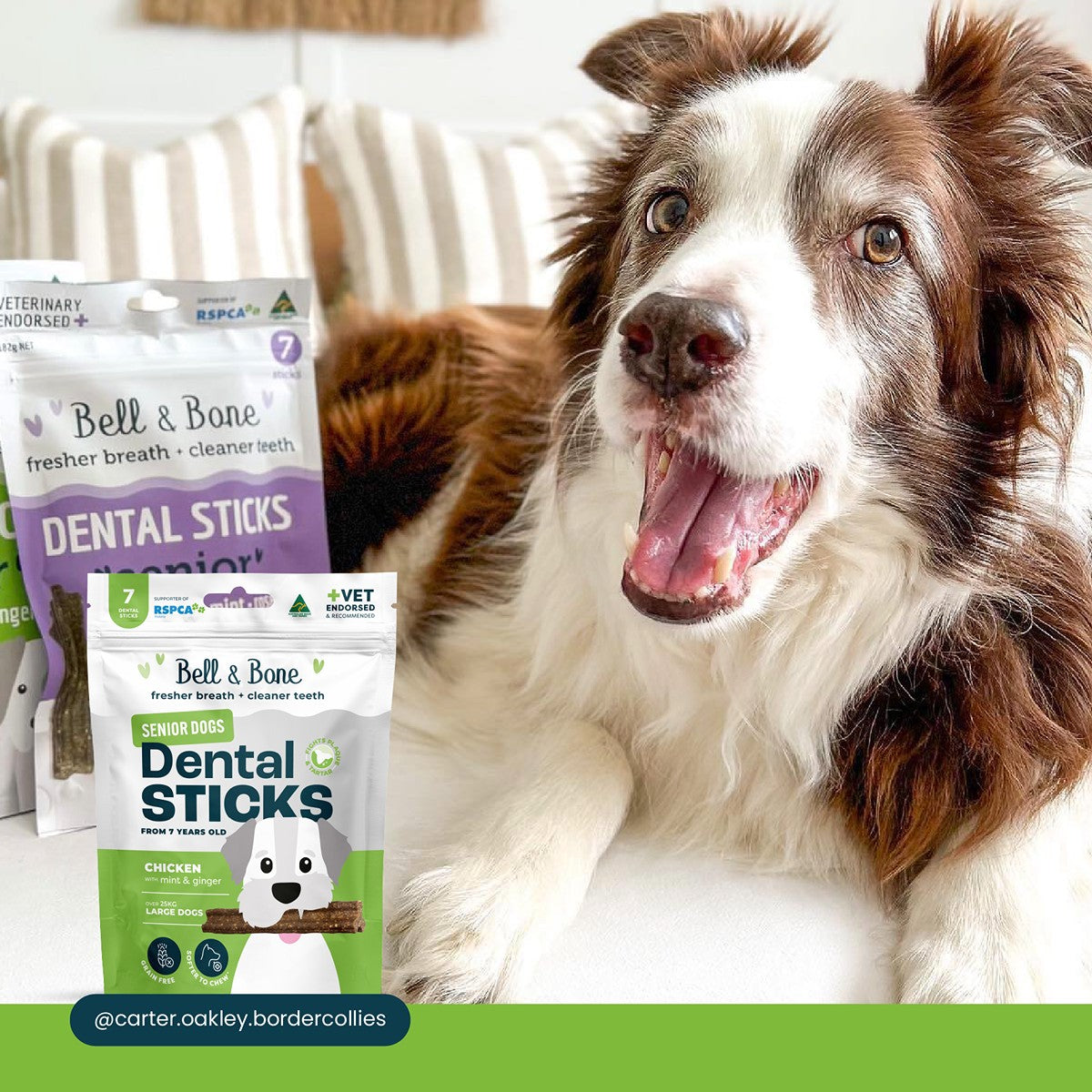 Bell & Bone Chicken Senior Dental Stick Dog Treats
