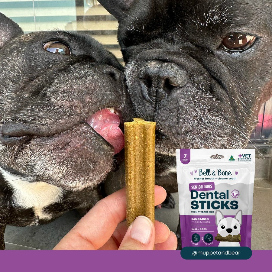 Bell & Bone Kangaroo Senior Dental Stick Dog Treats
