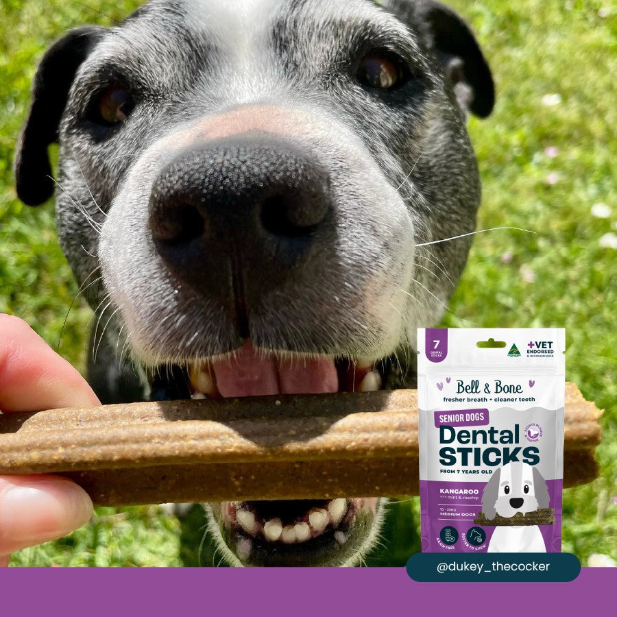 Bell & Bone Kangaroo Senior Dental Stick Dog Treats