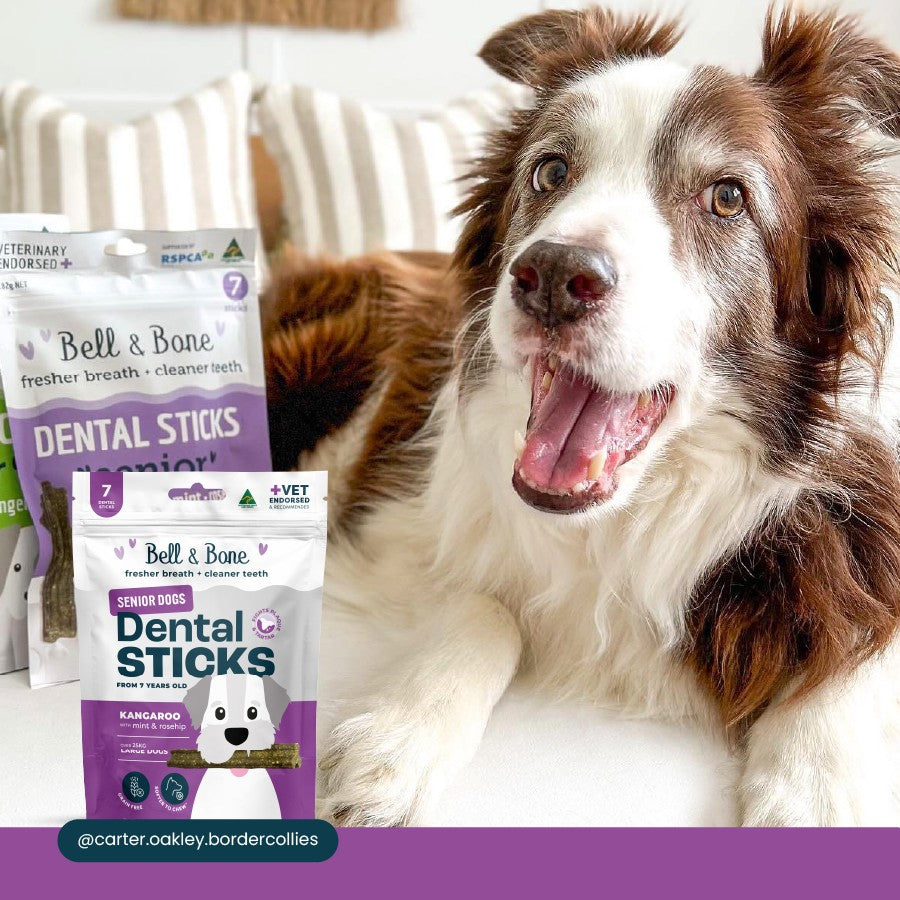 Bell & Bone Kangaroo Senior Dental Stick Dog Treats