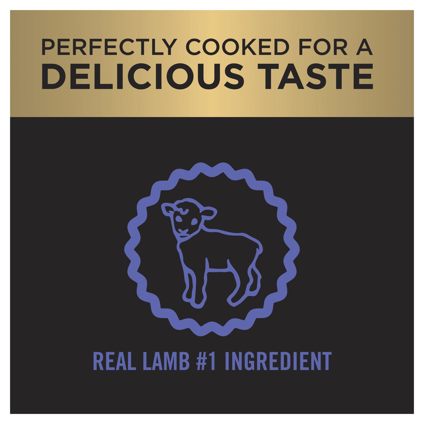 PRO PLAN Adult Sensitive Digestion Lamb Dry Dog Food