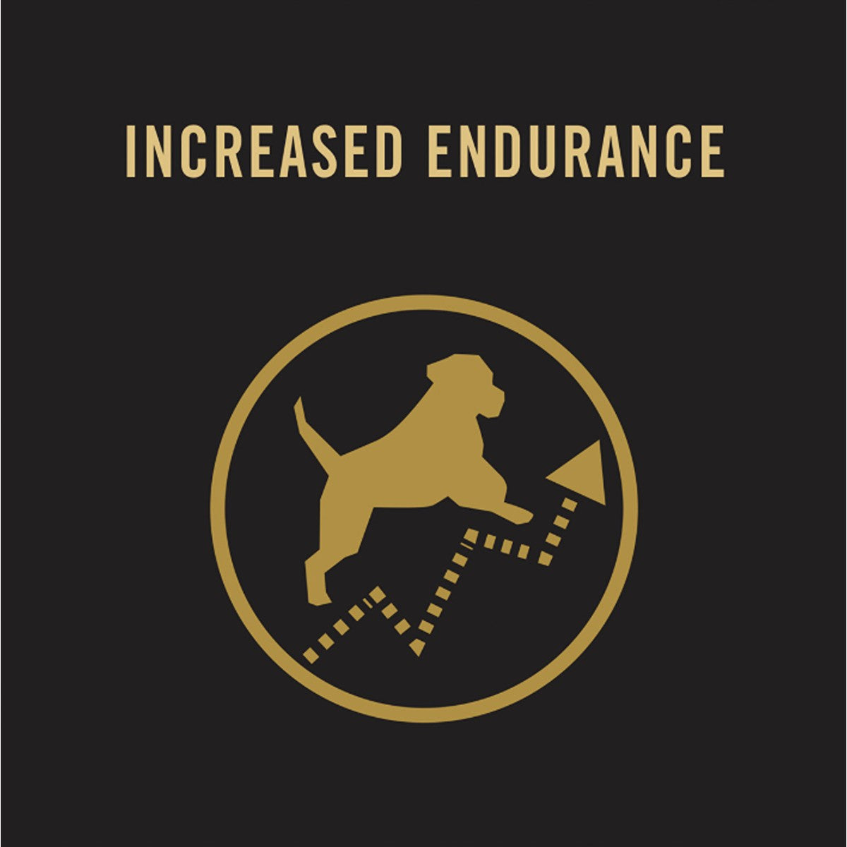 PRO PLAN Adult Performance Chicken Dry Dog Food