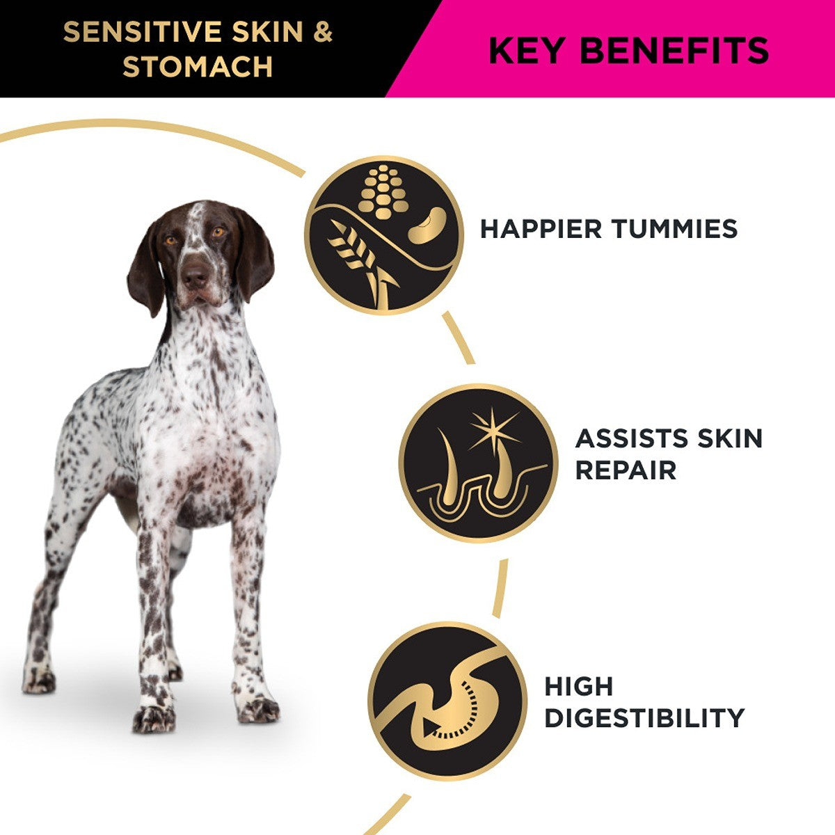 PRO PLAN Adult Sensitive Skin & Stomach Medium & Large Breed Dry Dog Food