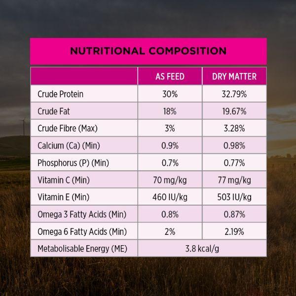 Pro Plan Sensitive Skin & Stomach Small & Toy Breed Salmon & Mackerel Formula Dry Dog Food