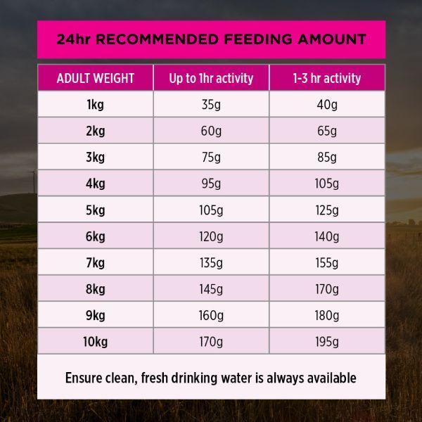 Pro Plan Sensitive Skin & Stomach Small & Toy Breed Salmon & Mackerel Formula Dry Dog Food