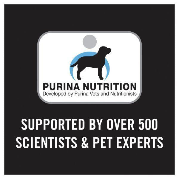 Pro Plan Sensitive Skin & Stomach Small & Toy Breed Salmon & Mackerel Formula Dry Dog Food