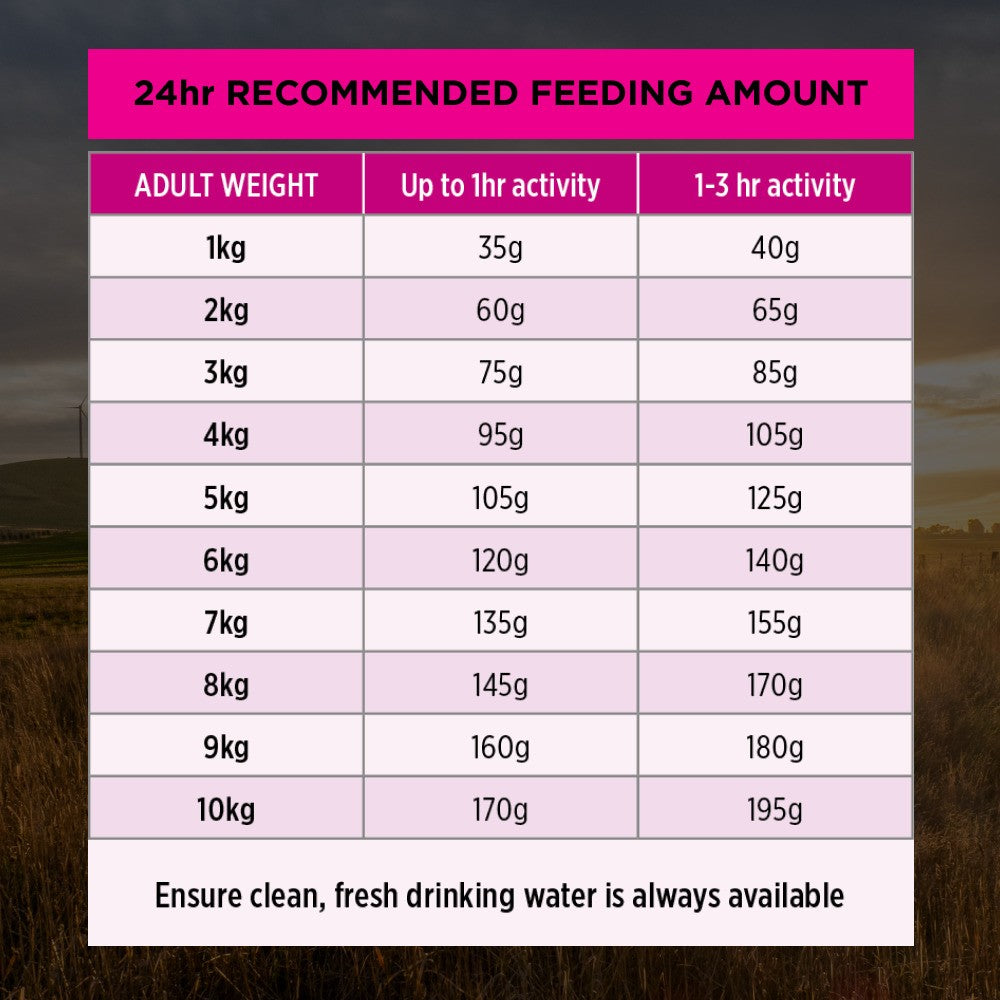PRO PLAN Sensitive Skin & Stomach Small & Toy Breed Dry Dog Food