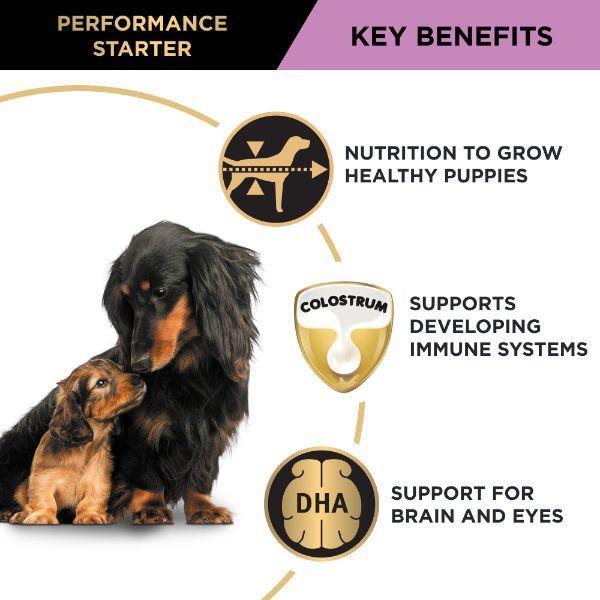 PRO PLAN Performance Starter Mother & Puppy Chicken Dry Dog Food