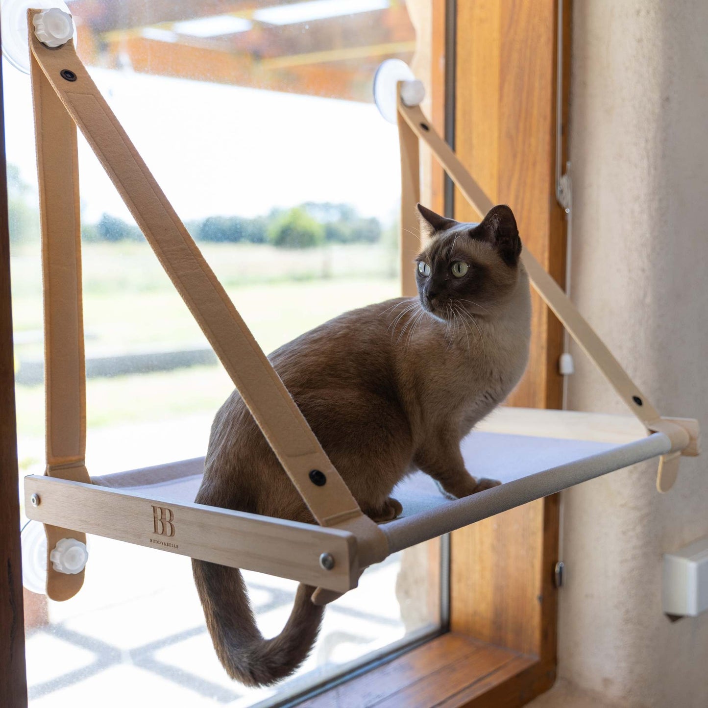 Buddy & Belle Cat Window Perch Natural