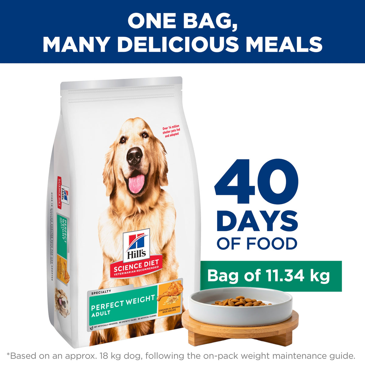 Hill's Science Diet Adult Perfect Weight Dry Dog Food