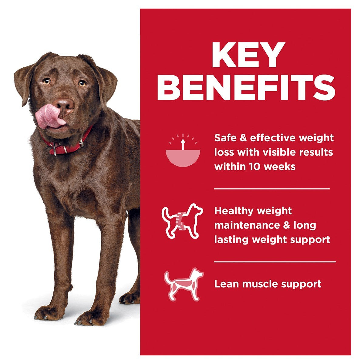 Hill's Science Diet Perfect Weight Large Breed Dry Dog Food