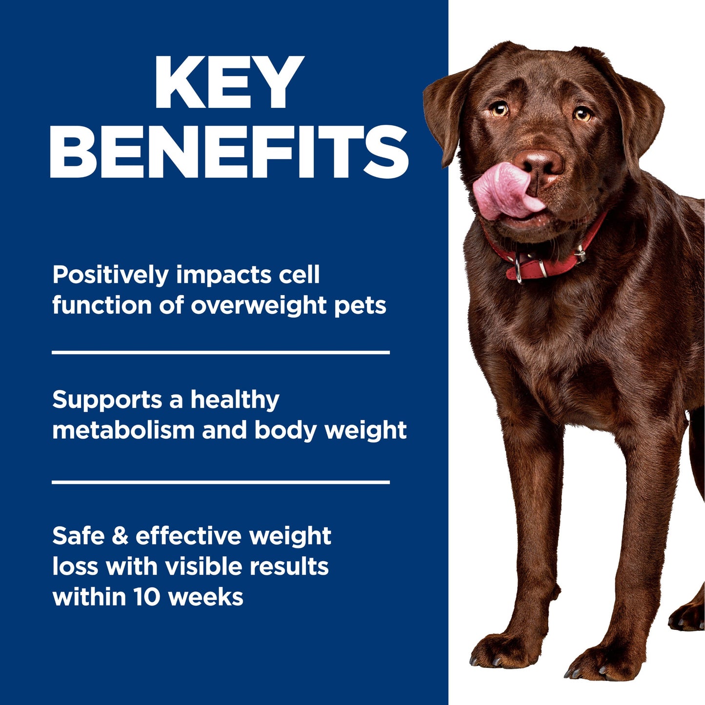 Hill's Science Diet Perfect Weight Large Breed Dry Dog Food