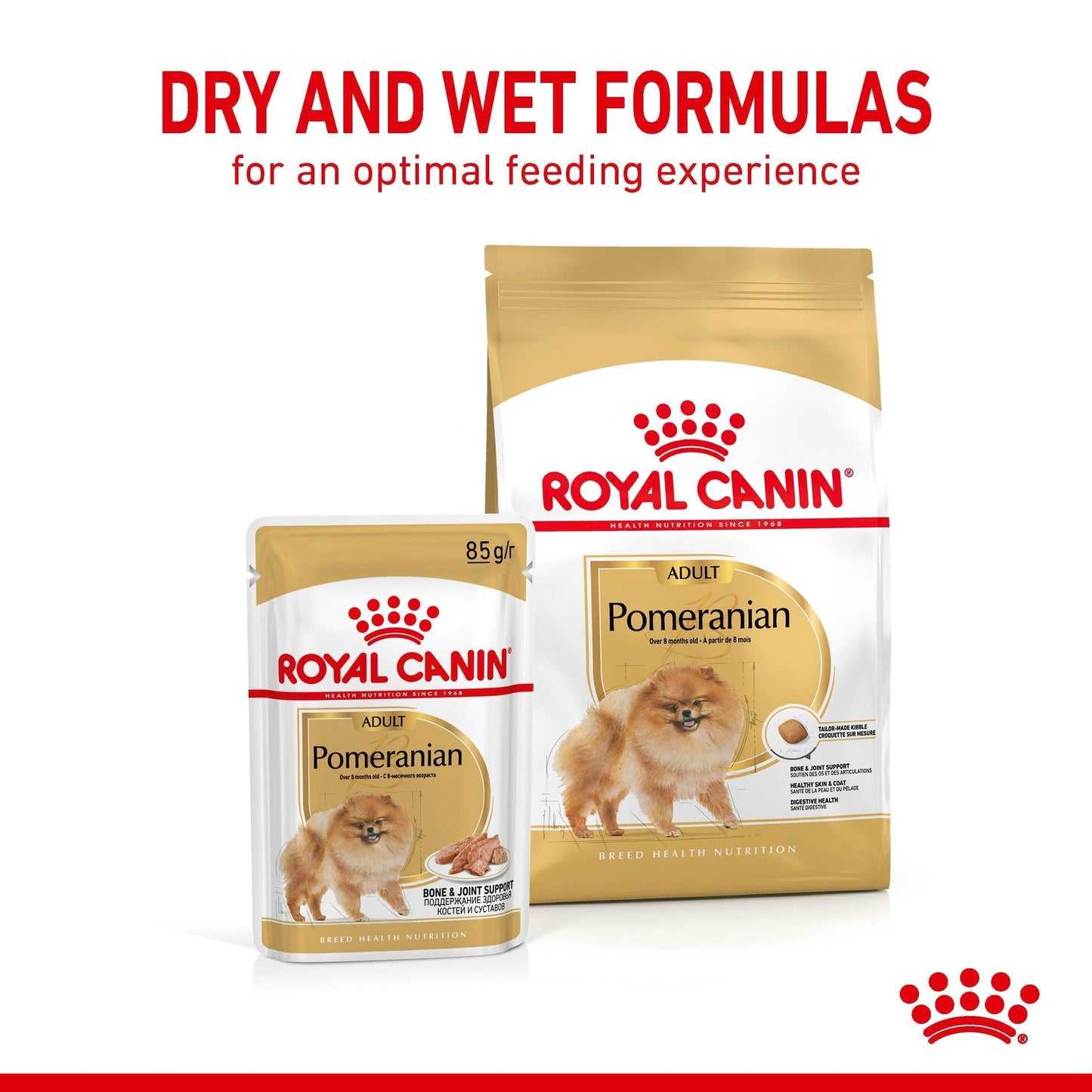 Royal Canin Pomeranian Adult Loaf Wet Dog Food