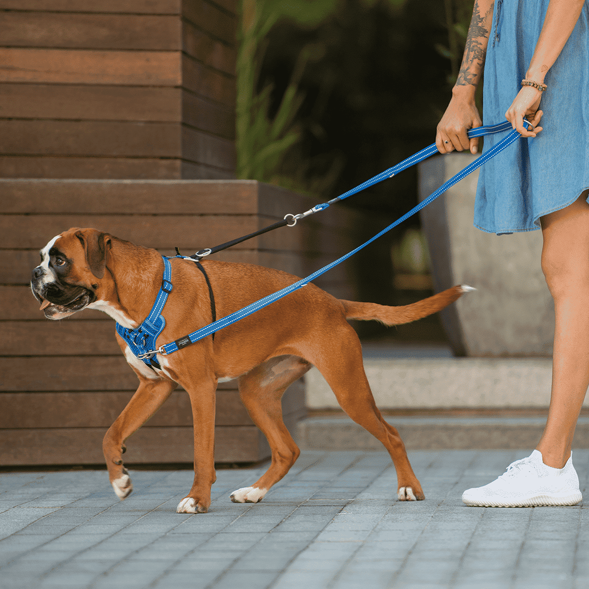 Rogz Stop-Pull Harness Utility